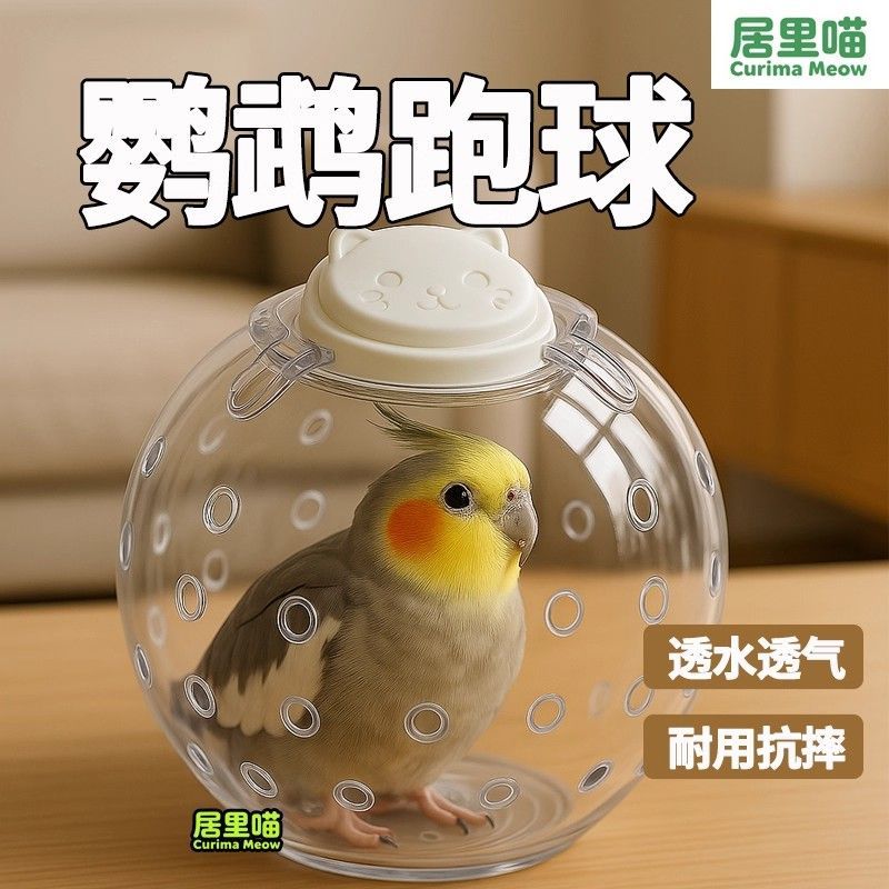 鹦鹉解闷自嗨玩具跑球虎皮牡丹解压专用运动跑步球机新型遛鸟神器