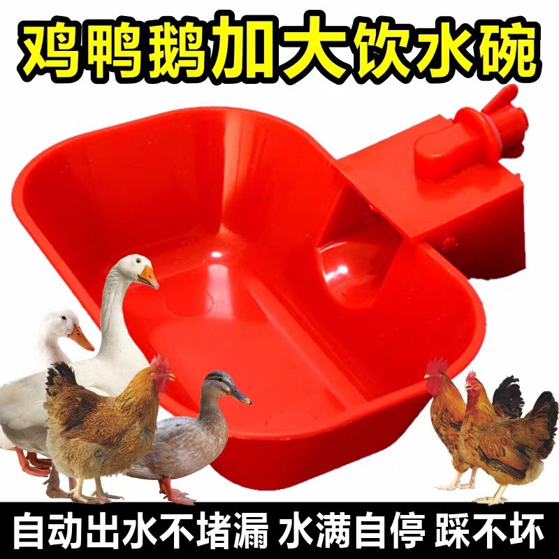 升级版大号鸡鸭鹅自动饮水碗加宽加厚新款宠物用水碗家禽