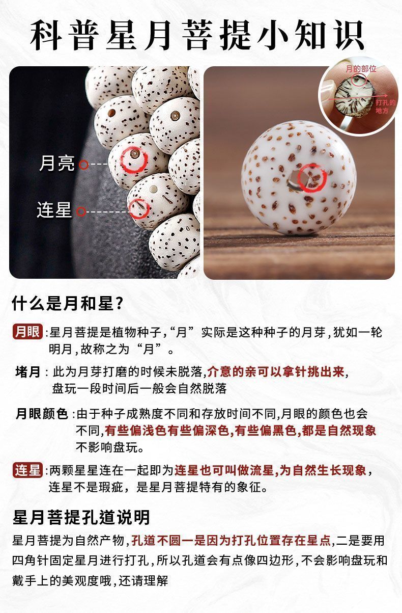 108 Tibetan Dzi Bead Mala 5