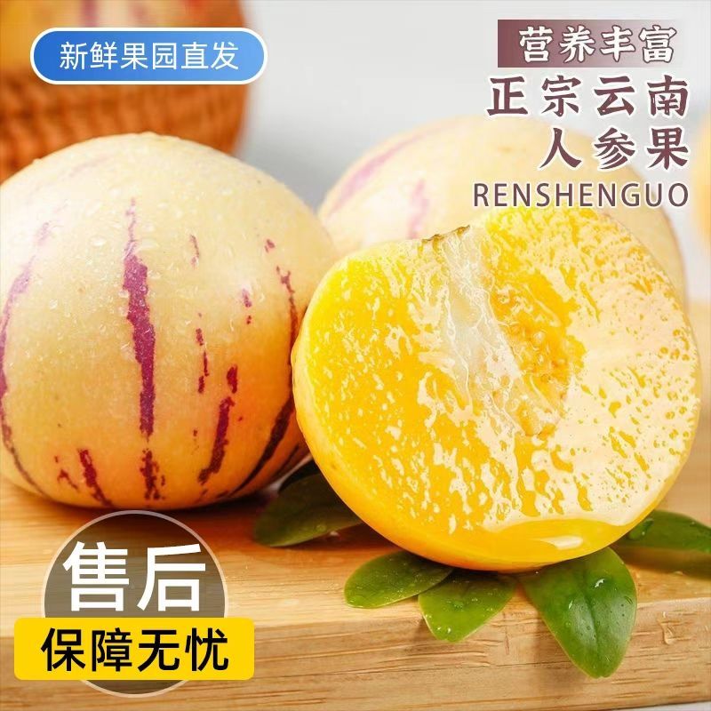 【正宗】石林人参果自然熟黄心正宗人心果新鲜现摘应季低糖孕妇