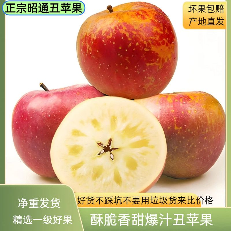 云南昭通高原冰糖心丑苹果新鲜当季富士批发孕妇水果脆甜野生苹果