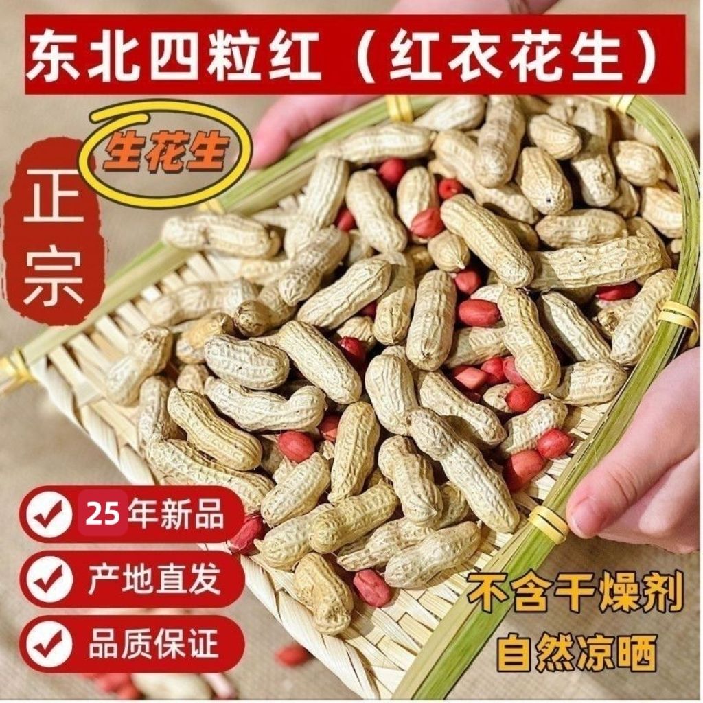 25东北四粒红 生花生 新鲜晒干 农家自种红皮 带壳 批发零售