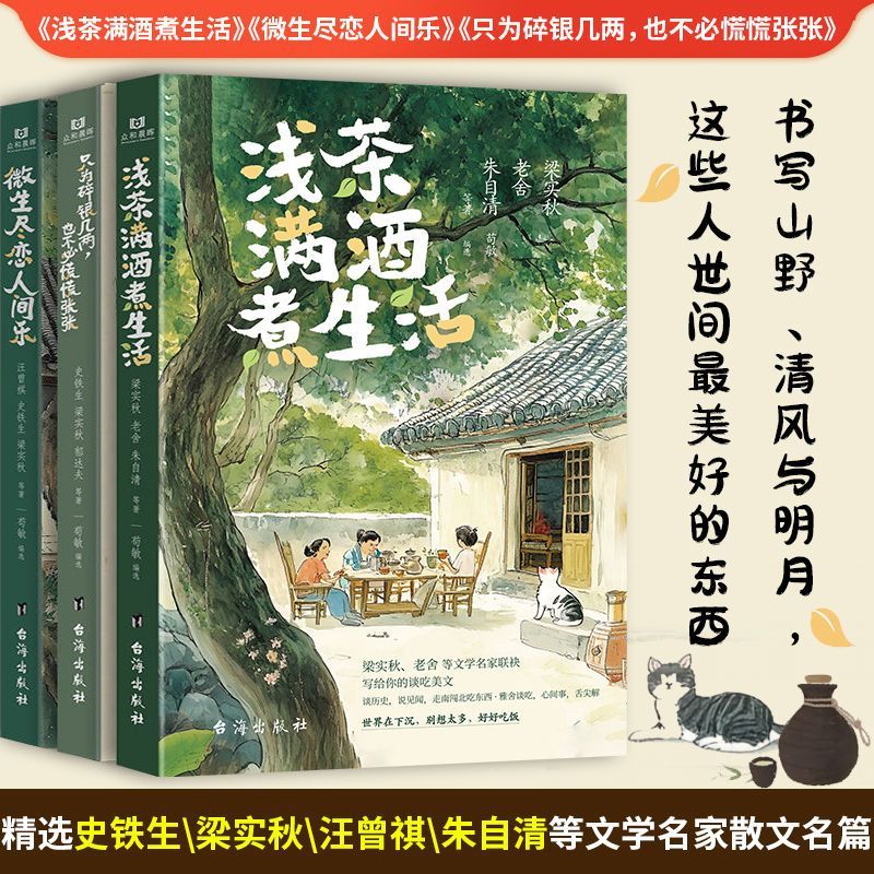 浅茶满酒煮生活微生尽恋人间乐只为碎银几两也不必慌慌张张文学书