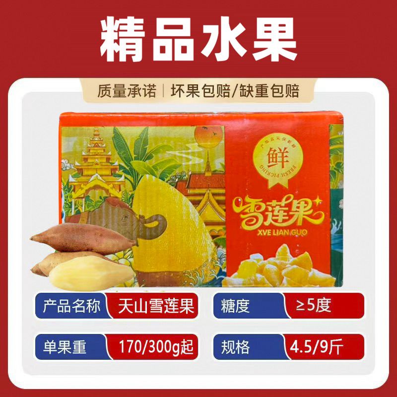 【商超品质】云南天山雪莲果4.5/9斤 彩箱气柱单果170/300g起