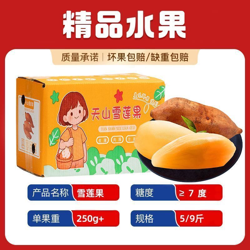 【商超品质】云南天山雪莲果清甜低糖新鲜水果彩箱5/9斤单果250g+