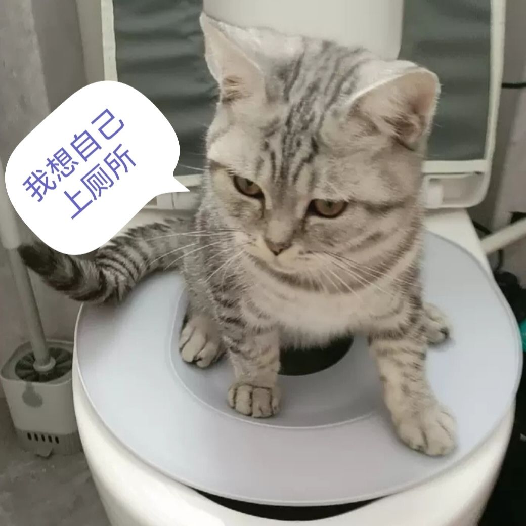 清仓全新升级猫马桶防臭猫训练厕所猫猫训练器猫咪蹲坑网红猫咪
