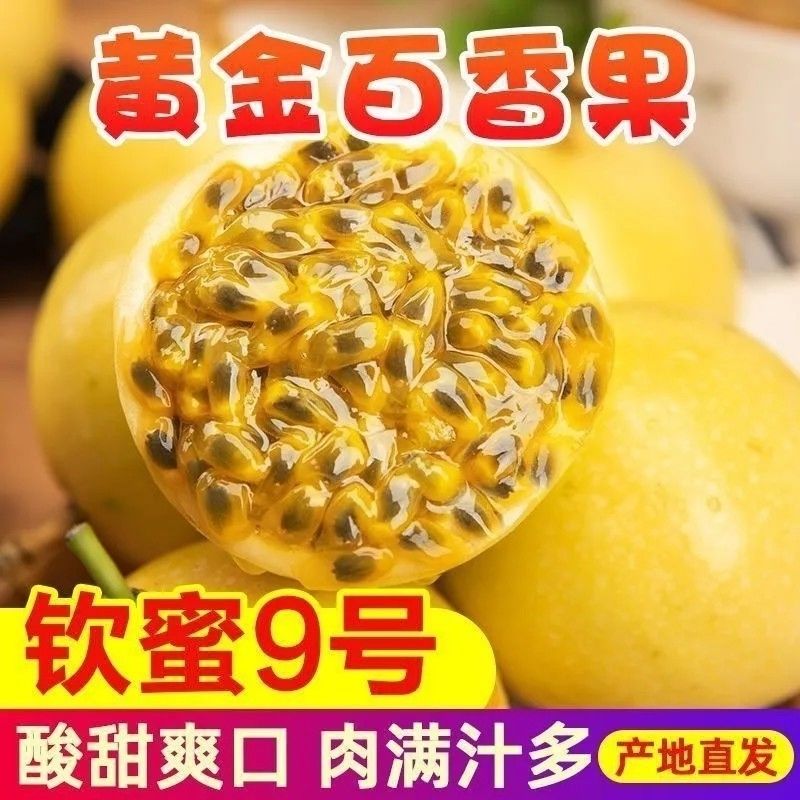 正宗钦蜜9号黄金百香果新鲜现摘应季鲜果孕妇当季水果大果批发