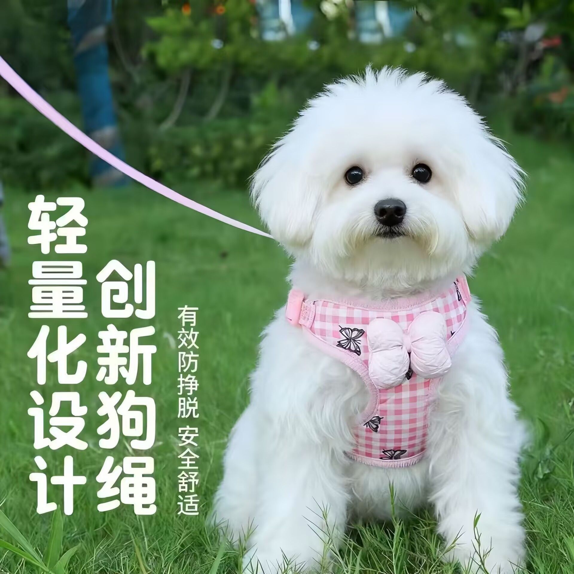 狗狗牵引绳胸背带蝴蝶结猫咪比熊中小型犬防挣脱外出遛狗绳狗链子