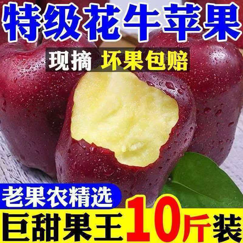 【现货先发】甘肃天水花牛蛇果当季新鲜大果婴儿水果特级整箱辅食