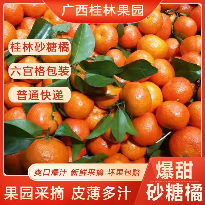 【广西砂糖橘】正宗沙糖桔爆甜无籽皮薄大个新鲜应季水果整箱包邮