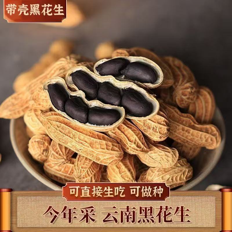 【超值特价】新鲜带壳优质黑花生带壳花生黑皮花生农家壳黑花生