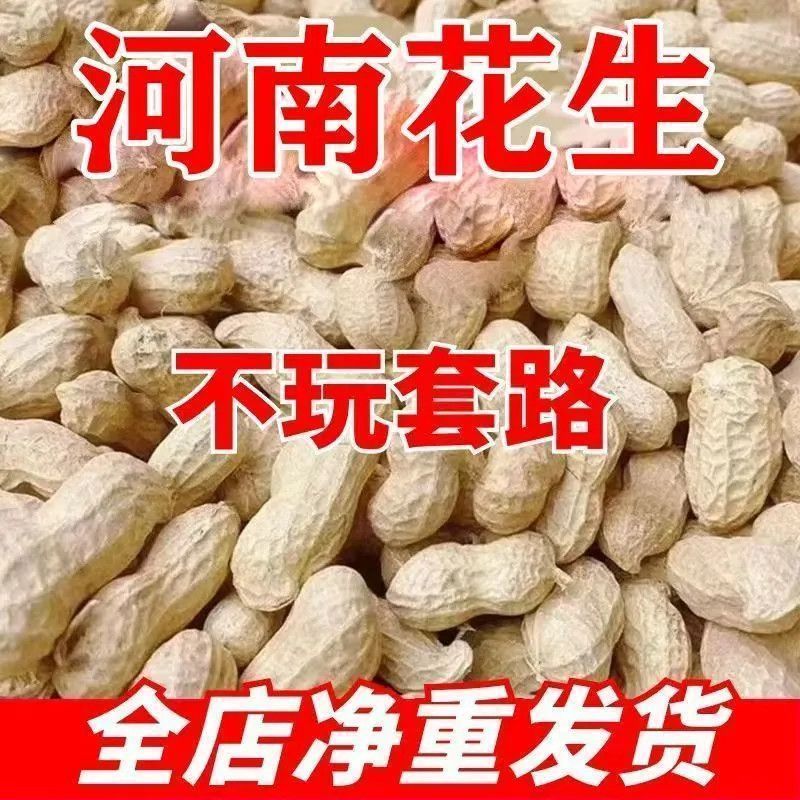 地头价】当季晒干花生大颗粒白沙花生带壳花生粉皮花生榨油生花生