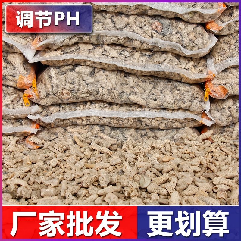 PH调节天然珊瑚石鱼滤材防爆超质感专业水体平衡更划算价位低