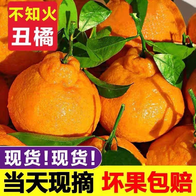 【彩箱】正宗四川不知火丑橘新鲜整箱水果当季粑粑丑八怪柑橘桔子
