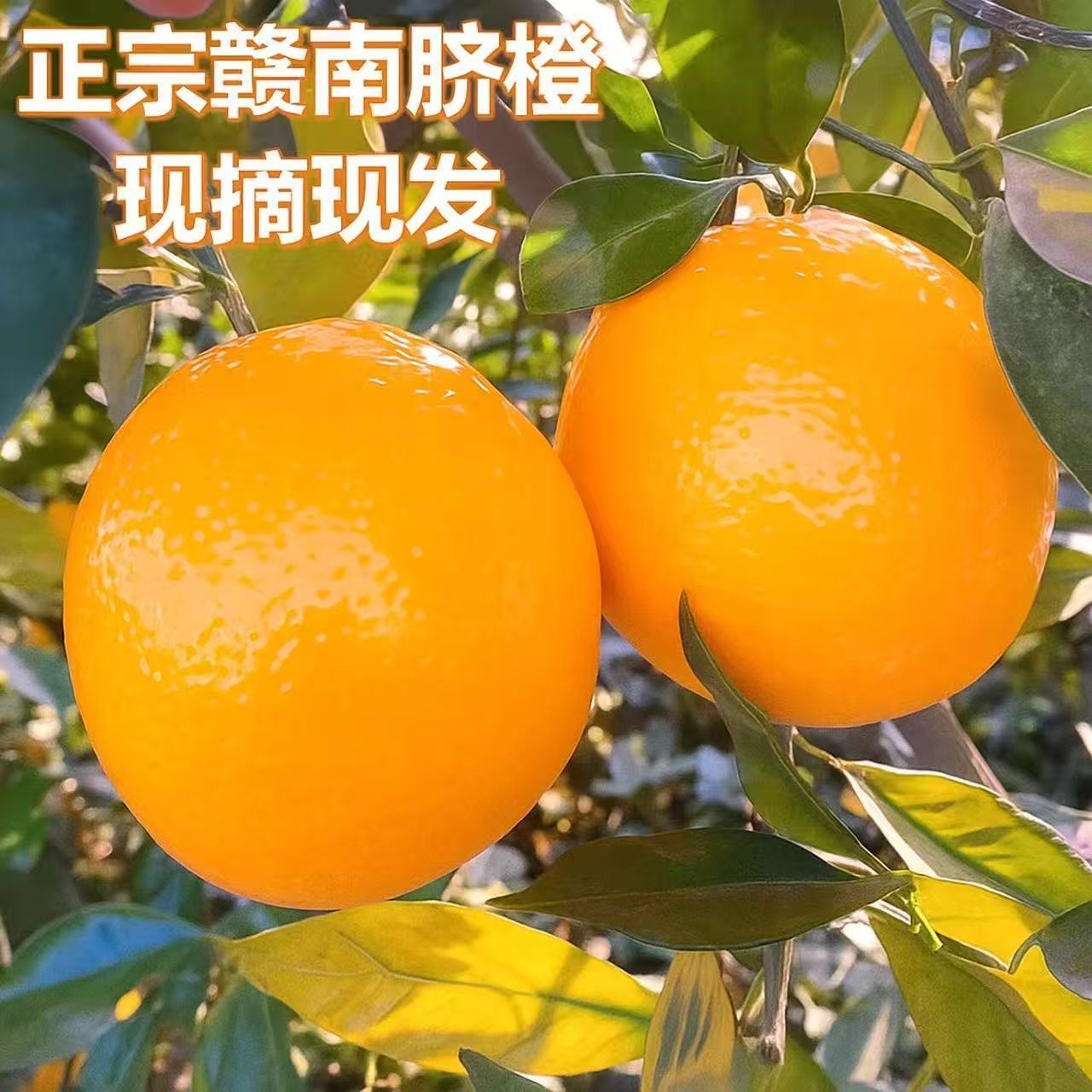 正宗赣南新鲜脐橙10斤赣州江西当季橙子整箱甜橙应季水果批发榨汁