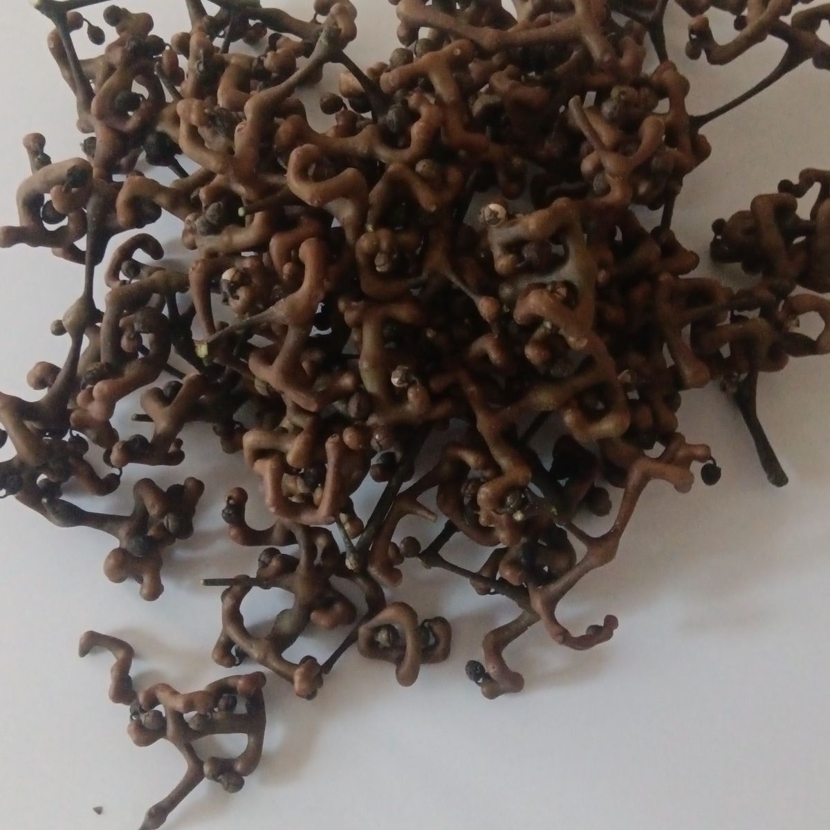 拐枣泡酒专用煲汤旬阳鸡爪梨旬阳万寿果拐枣果半干