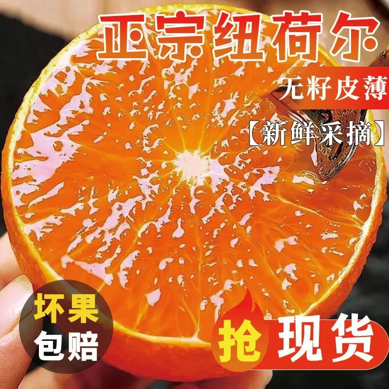 正宗宜昌甜脐橙新鲜现摘宜昌橙子大果当新鲜水果整箱直发破损包赔