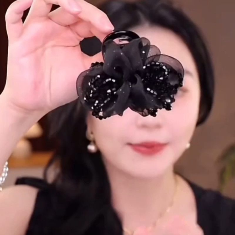 路易斯轻奢水晶网纱抓夹半扎发头饰优雅气质时尚百搭发饰2025新款 图片 9