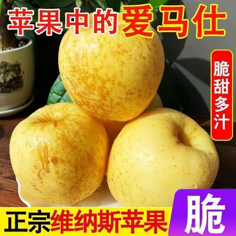 山东正宗维纳斯雀斑苹果黄金脆甜水果新鲜水果苹果当季批发