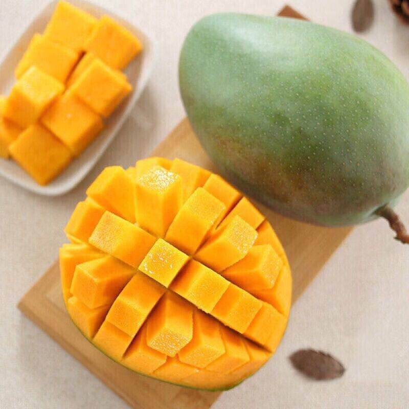 【超甜】凯特芒果攀枝花彩虹芒凯特芒当季芒果批发特凯特整箱批发