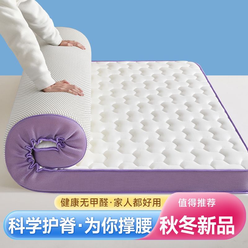 立体加厚床垫1.5m家用双人软垫床褥子可折叠学生宿舍单人铺底垫子 图片 5