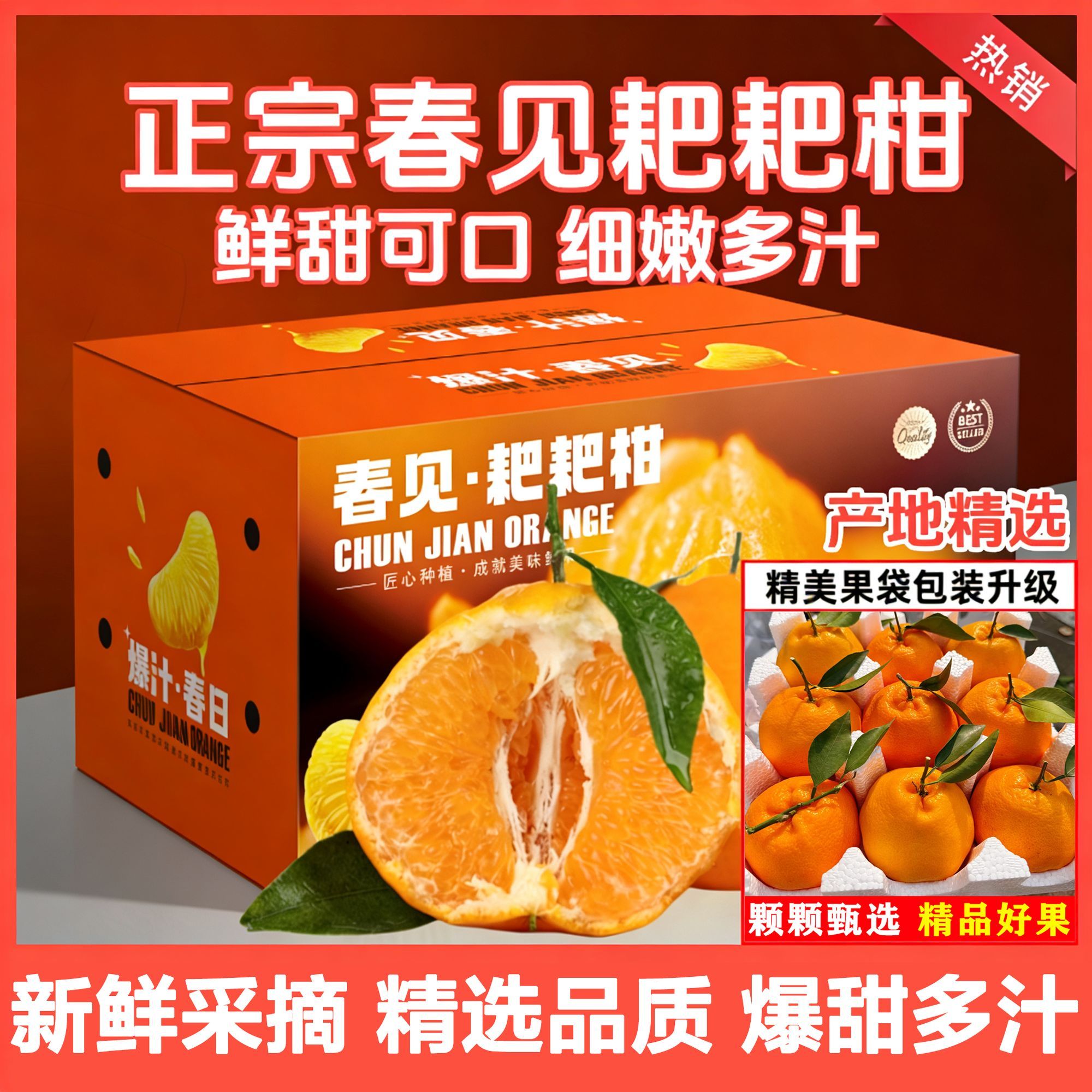 正宗四川春见耙耙柑新鲜水果当季整箱柑橘子斤桔子粑粑柑现货速发