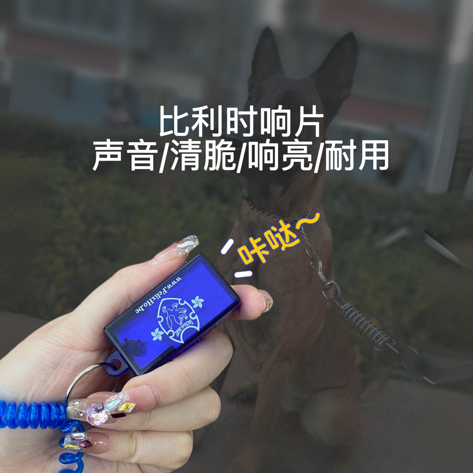 比利时响片美国进狗狗训练口狗训犬用品工作犬马犬边牧训狗训练