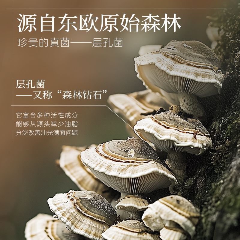 亚玛莉莎层孔菌精华液控油祛痘淡化痘印清爽保湿舒缓泛红收缩毛孔 图片 4