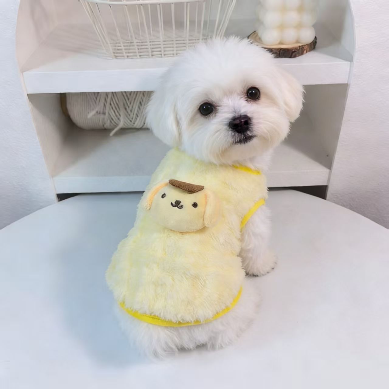 猫猫狗狗衣服保暖双面绒加绒背心加厚冬季可爱防寒幼犬小型犬宠物