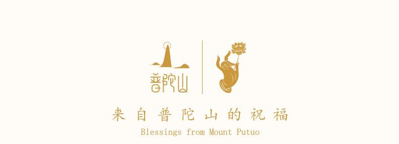 【普陀山】小金刚菩提盘玩多圈手串原籽文玩核桃佛珠送爱人礼物礼盒 5