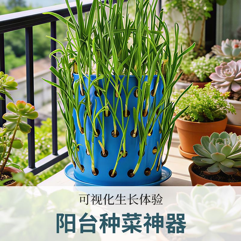 新品种葱种蒜大容量塑料镂空篓无盖种韭菜种香菜筐子专用桶