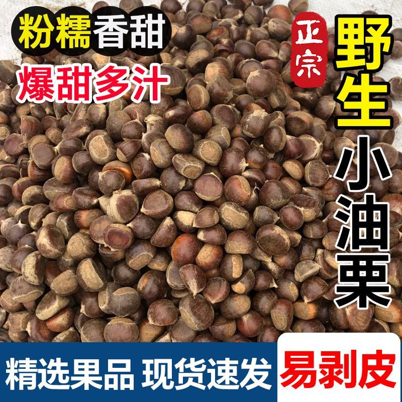 大别山新鲜野生小板栗高山老树带壳小毛栗新上市正宗野生小板栗