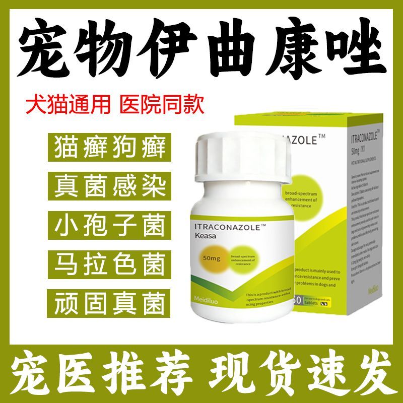 伊曲康唑片猫藓宠物马拉色菌狗癣皮肤病脱毛狗猫咪真菌口服药猫癣