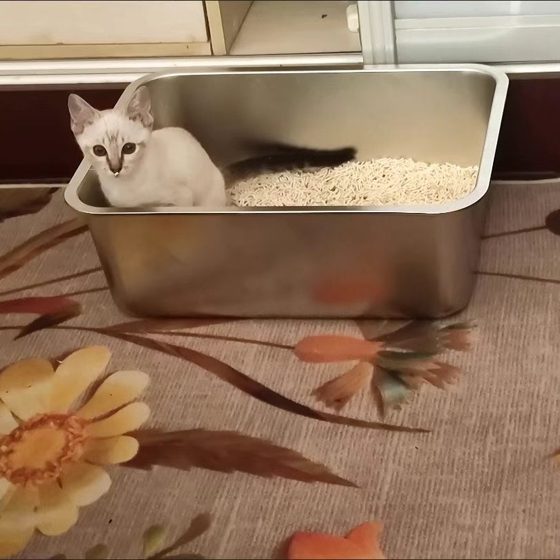 超大不锈钢开放式巨型防外溅猫砂盆猫咪布偶缅因特大猫厕所特价