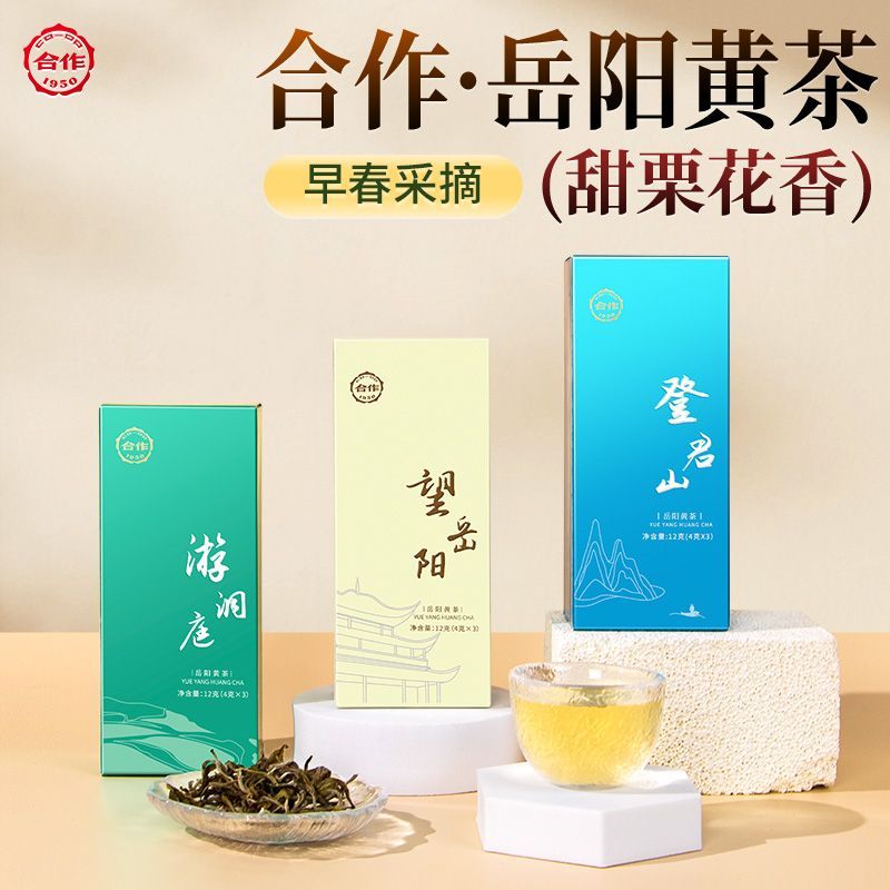 合作茗茶君山银针春茶正宗岳阳黄茶特一级湖南特产茶