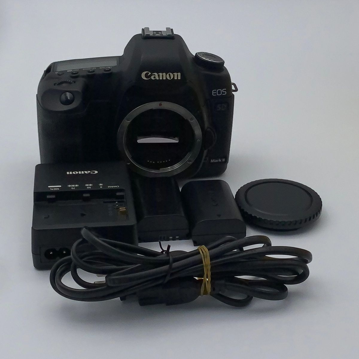 Canon/佳能5D2 无敌兔 EOS 5D Mark II 入门级全画幅单反数码相机