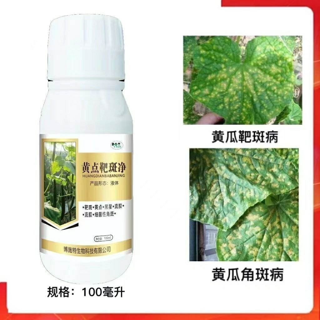 黄瓜专用杀菌剂靶斑病炭疽病叶枯病角斑病以菌治菌