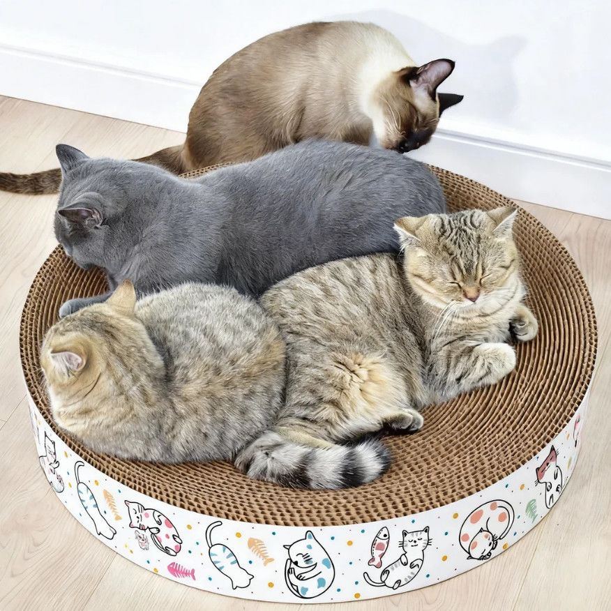 猫抓板窝一体 超大号圆形猫爪盘 瓦楞纸耐磨耐抓猫咪睡觉磨爪两用