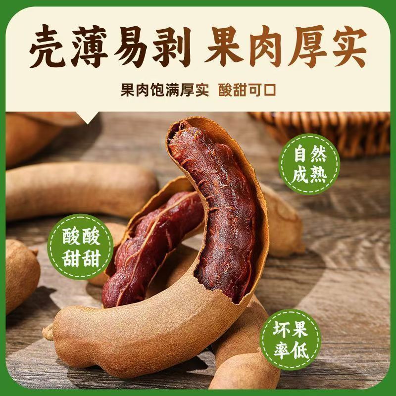 年前清仓价】甜酸角云南特产孕妇零食新鲜酸甜角蜜饯罗望子滋补