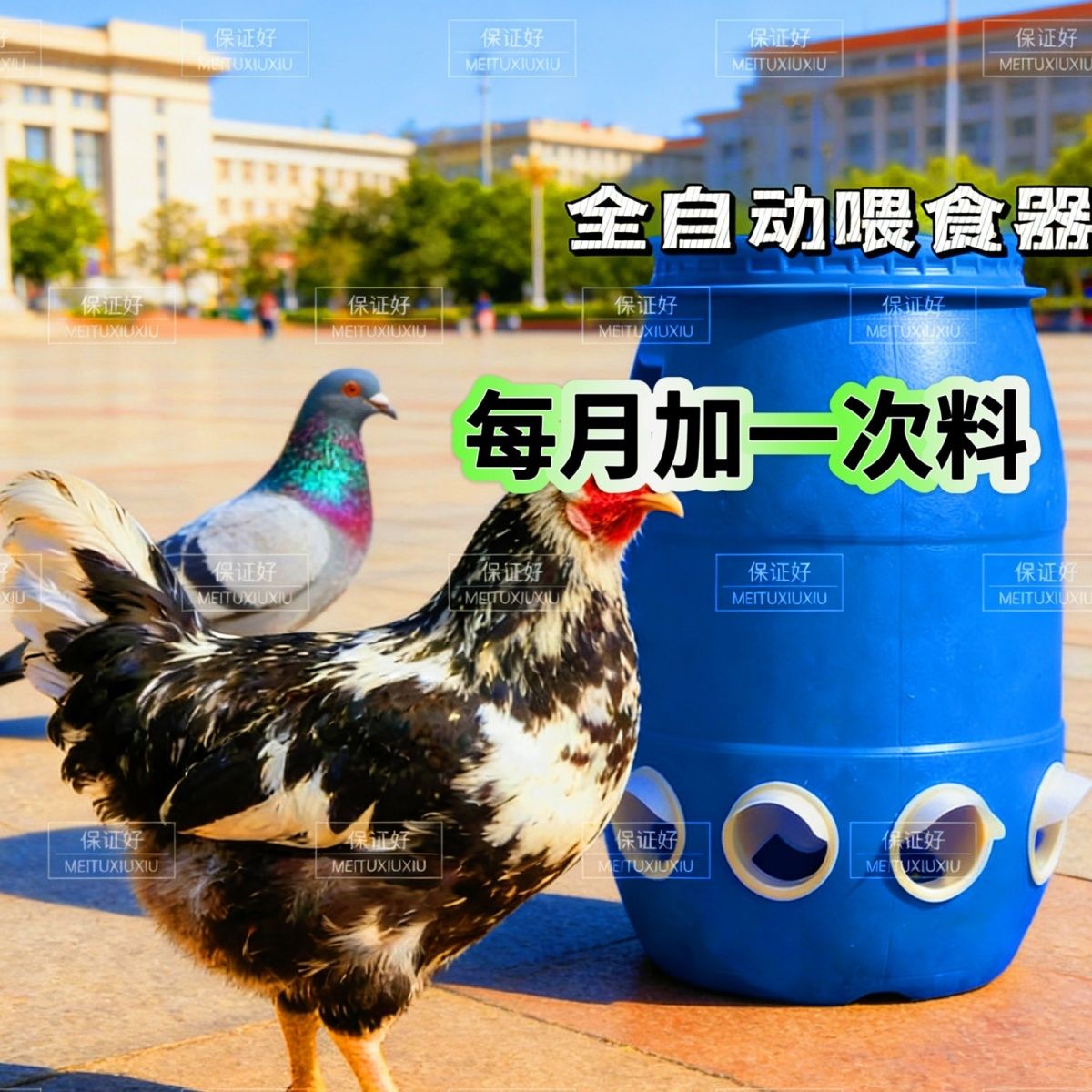鸡鸭鹅自动喂食器家禽自动喂料器户外一体鸡鸭鹅防雨防风通用食槽