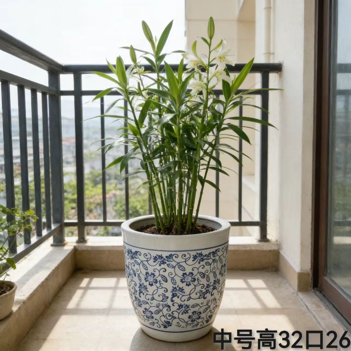中国风青花瓷大号透气陶瓷花盆落地家用高颜值网红发财树客厅