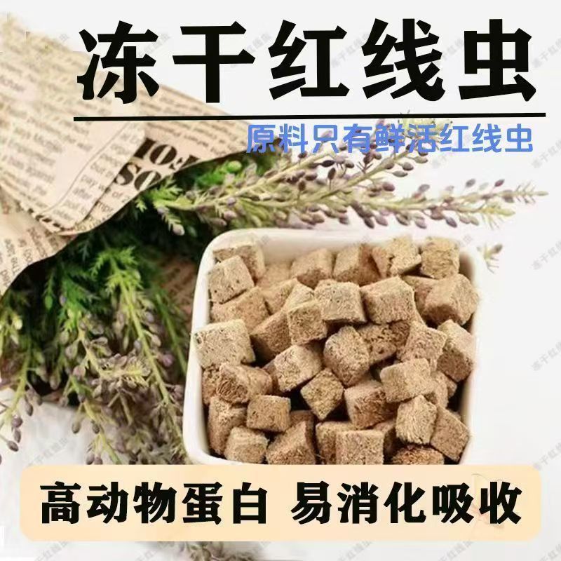 冻干红线虫粘贴块水蚯蚓高蛋白上浮观赏鱼饲料小型热带鱼通用鱼食