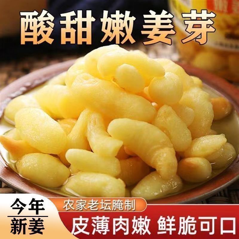 太便宜了】新鲜枸杞泡嫩姜芽仔姜糖醋嫩姜芽生姜腌制罐装即食下饭