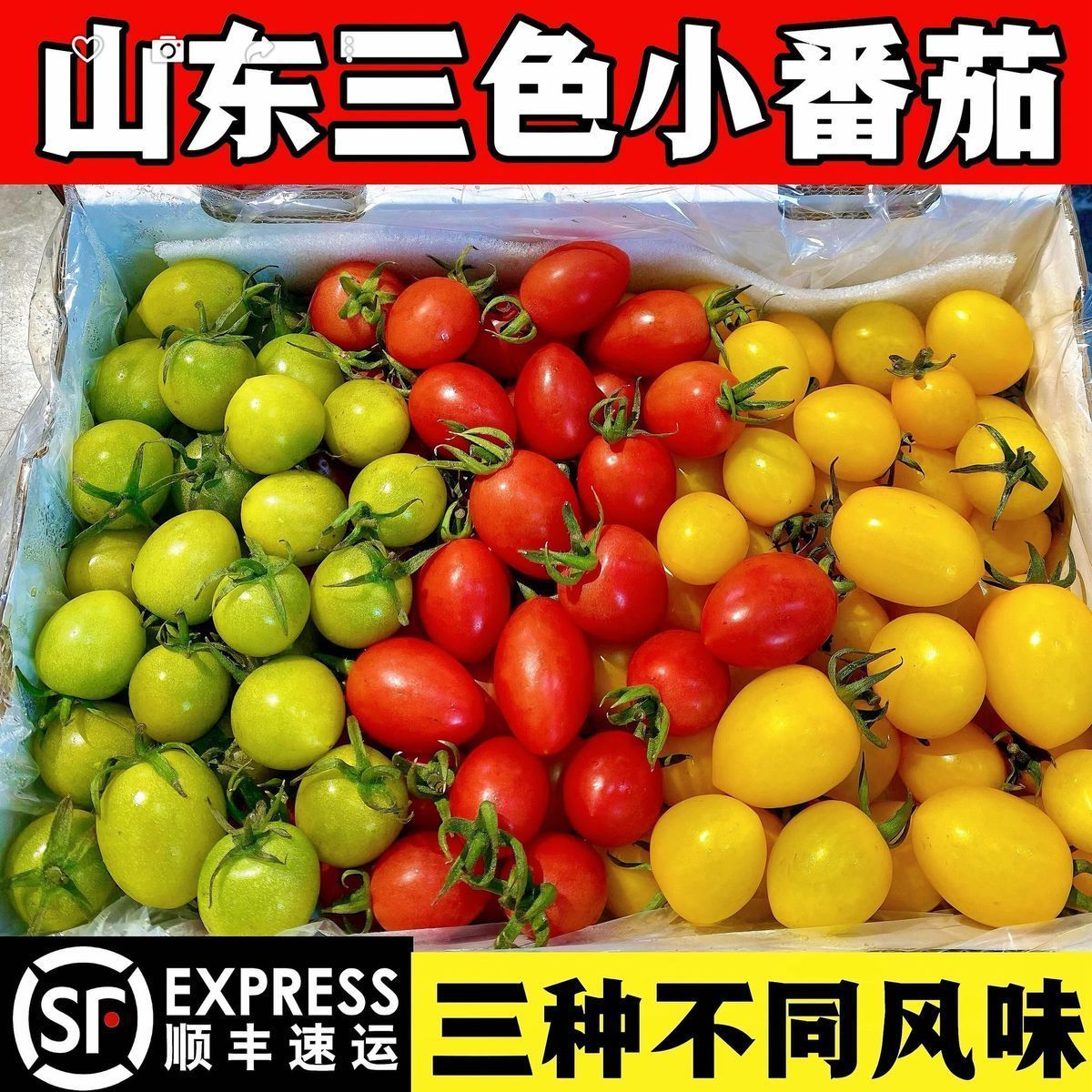 山东寿光现摘多色新鲜圣女三色果三色水果优质柿子混装番茄千禧
