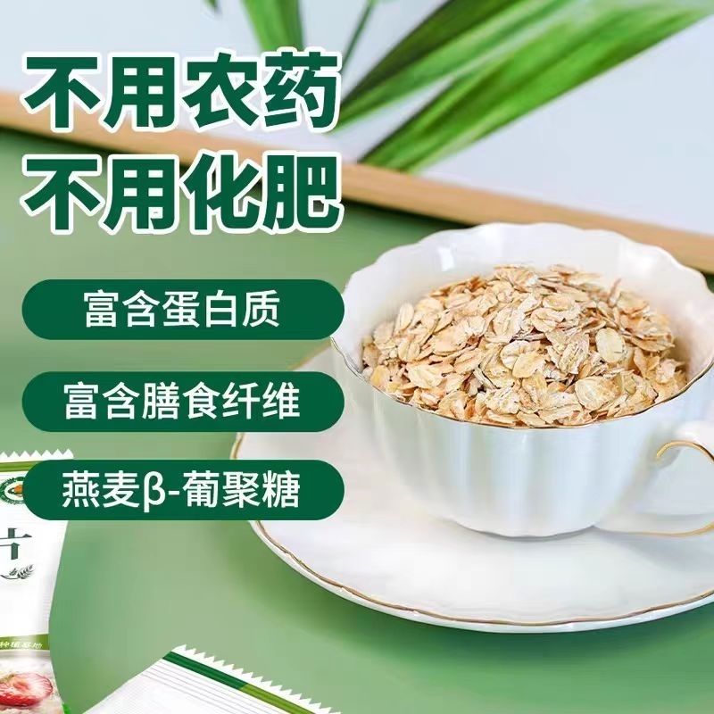 第三主粮有机燕麦片420g即食代餐学生老人女士免煮独立包装 图片 2