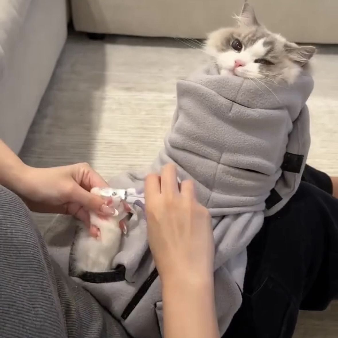 防抓防咬猫咪多功能裹袋护理袋裹猫布袋保定包剪指甲打针固定神器 图片 4