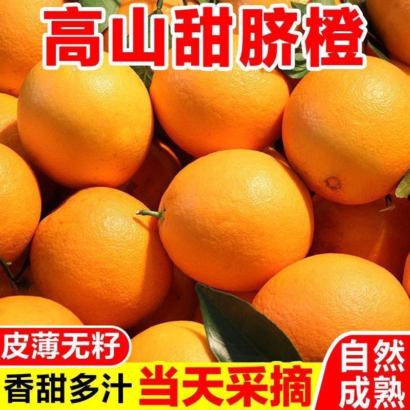 当季薄皮爆汁应季水果现摘新鲜橙子甜橙整箱包邮高山脐橙
