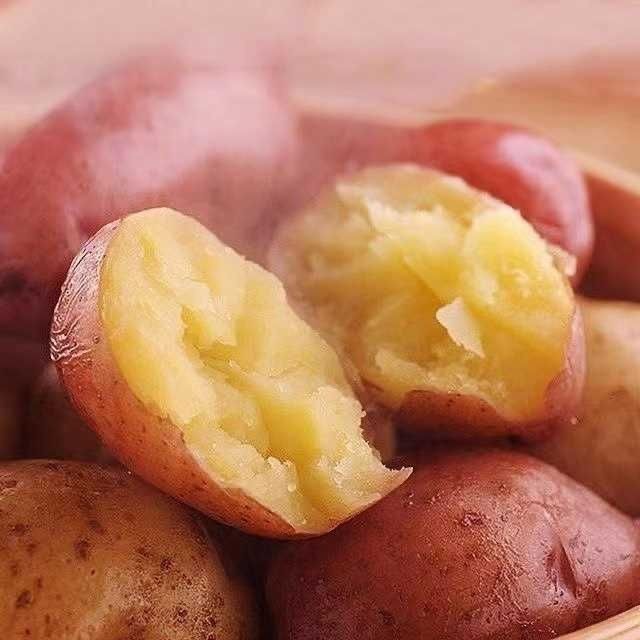【新上市】正宗云南红皮土豆农家现挖黄心洋芋马铃薯批发新鲜蔬菜 图片 6