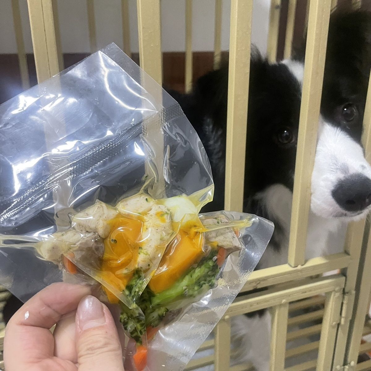 商品缩略图 6