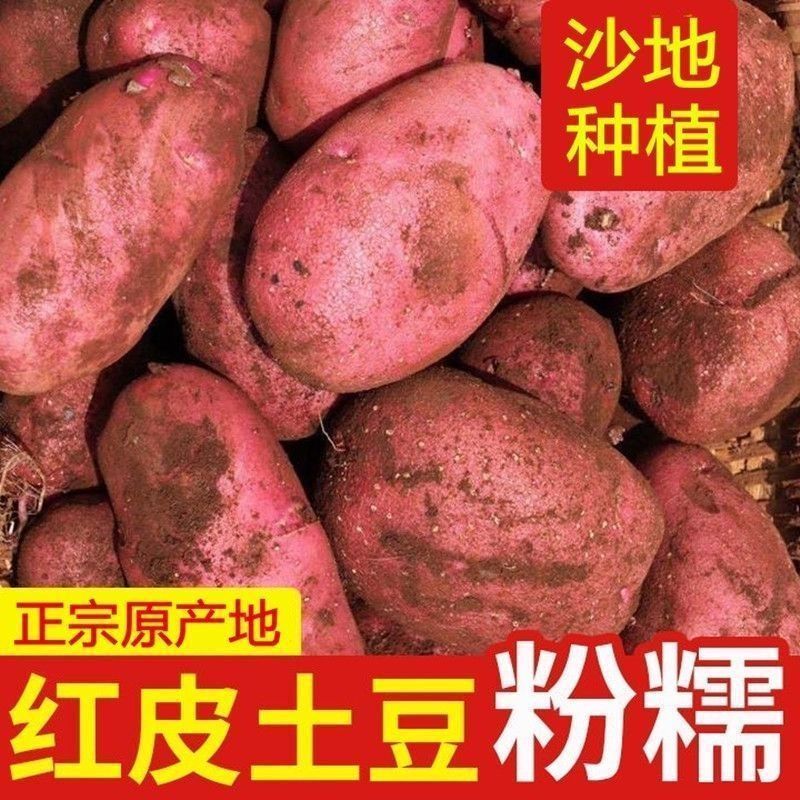 【新上市】正宗云南红皮土豆农家现挖黄心洋芋马铃薯批发新鲜蔬菜 图片 2